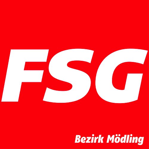 FSG-Fraktion Sozialdemokratischer GewerkschafterInnen Bezirk Mödling